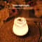 Rechargeable Rose Night Light Touch Sensor Bedside Lamp With 3 Color Dimmable Ambient Lighting 3