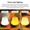Rechargeable Rose Night Light Touch Sensor Bedside Lamp With 3 Color Dimmable Ambient Lighting 10