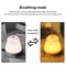 Rechargeable Rose Night Light Touch Sensor Bedside Lamp With 3 Color Dimmable Ambient Lighting 9