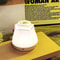 Rechargeable Rose Night Light Touch Sensor Bedside Lamp With 3 Color Dimmable Ambient Lighting 4