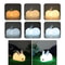 Rechargeable Rabbit Night Light with Dual Tone LED and Soft Silicone Touch Control