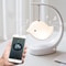Bluetooth Speaker Night Light Desk Lamp With Touch Control USB Rechargeable Battery 6