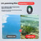 DJI Osmo Action 6 Filters Kit with Lens Filters for Cinematic Outdoor Shots
