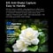 AI Smart Glasses With 8MP Camera Real Time Translation Bluetooth Calling 17