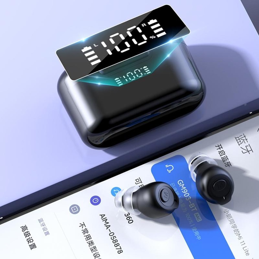 Bluetooth Digital Hearing Aids with LCD Display & Noise Reduction Charging Case