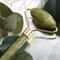 Cooling Double Jade Facial Roller Massager For Face Depuffing And Skin Care 1