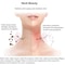 DolphinLift Vibrating Neck Face Massager For Wrinkle Care And Skin Rejuvenation 3