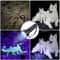 51 LED UV Flashlight 395nm Black Light Pet Urine Stain Detector 4