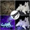 51 LED UV Flashlight 395nm Black Light Pet Urine Stain Detector 4