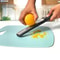 Premium Stainless Steel Ginger Grater Melon Fruit Scraper Handheld Kitchen Tool 4