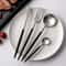 Premium Western Stainless Steel Cutlery Set Knives Forks Spoons 5