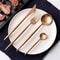 Premium Western Stainless Steel Cutlery Set Knives Forks Spoons 0