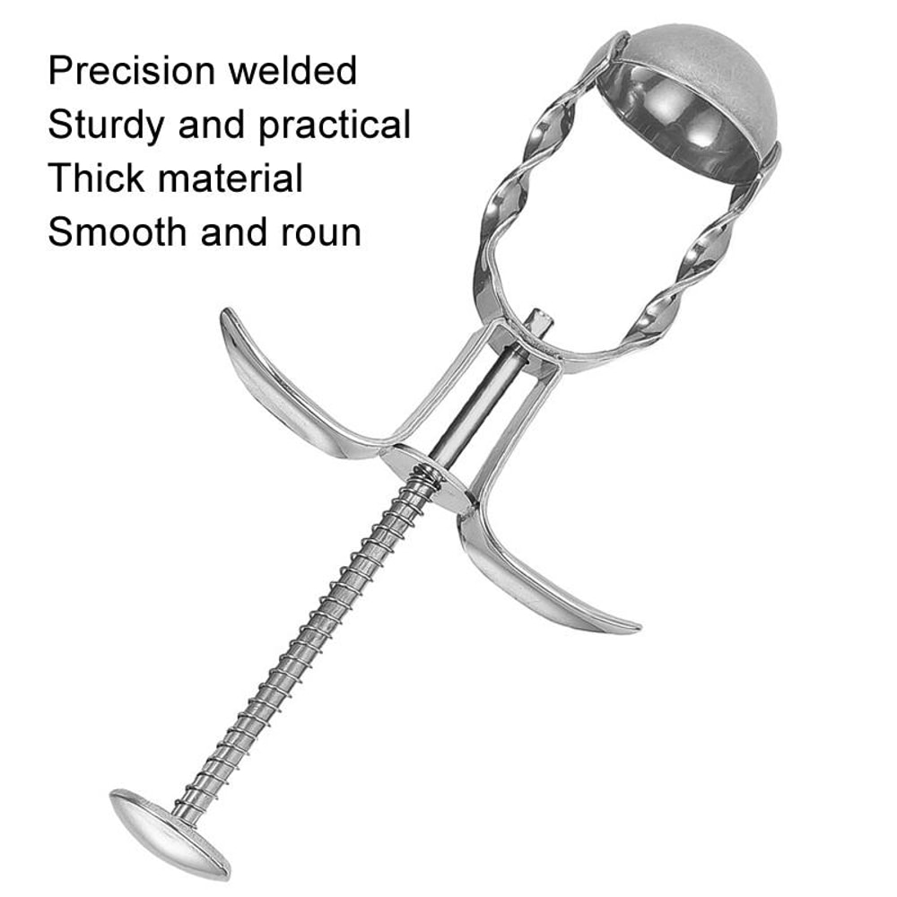 Premium Stainless Steel Cherry Pitter & Fruit Corer Tool for Kitchen Prep