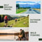 Portable USB Mosquito Repellent For Camping Travel 9