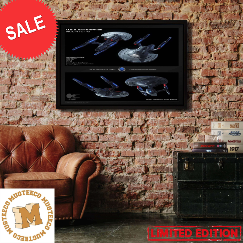 Star Trek Picard USS Enterprise Spaceship Decorations Poster Canvas.jpg