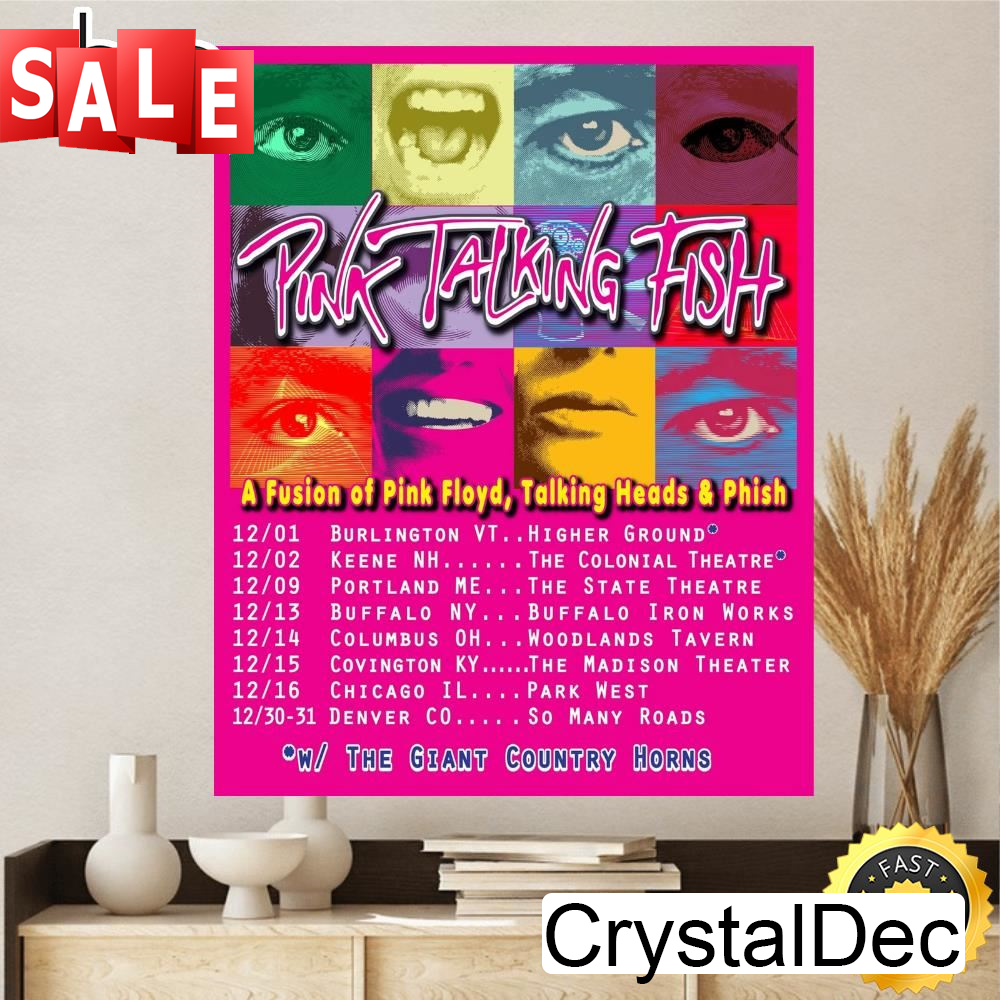 Pink Talking Fish Announce December 2023 Tour Canvas.jpg