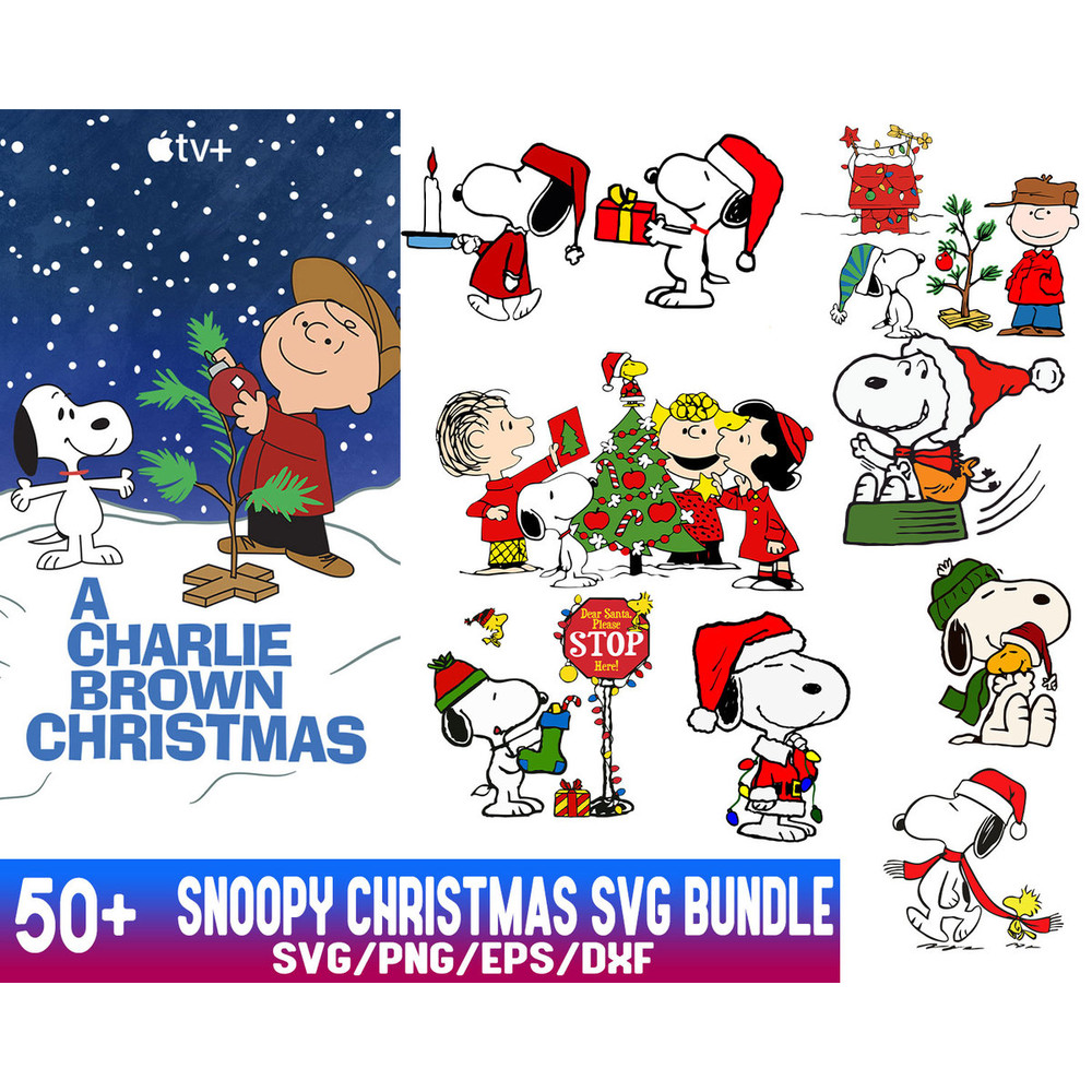 SVG240922B009 (2).jpg