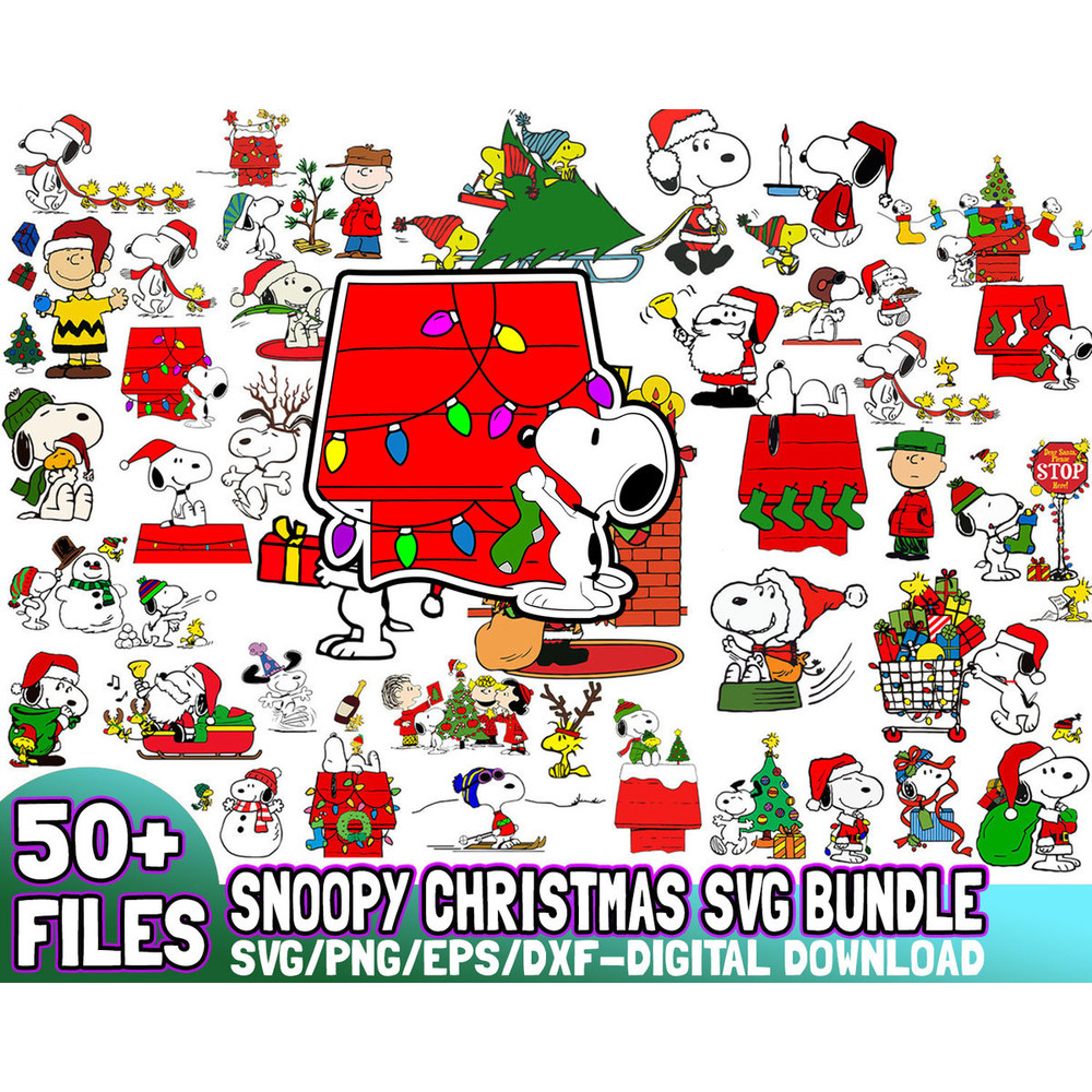 SVG240922B009 (1).jpg