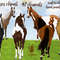 image (3).png