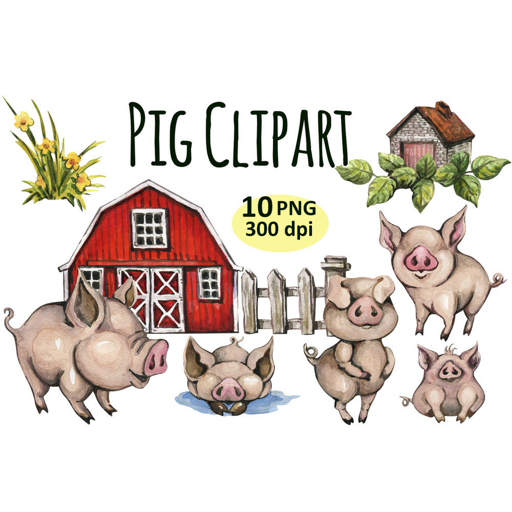 image (12).png