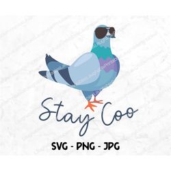 stay coo pigeon png, funny pigeon bird digital download, pigeon lover gifts, animal pun art file, jpg png, stay cool cri