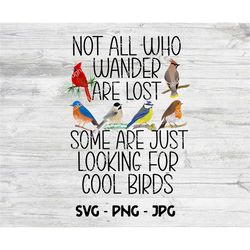 bird lover svg, not all who wander are lost some are just looking for cool birds, birdwatching digital file, png jpg cri