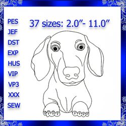 dachshund embroidery design dachshund machine embroidery design 493