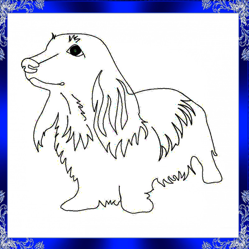 Long Hair Dachshund Embroidery Design Dachshund Machine Embroidery Design Dog Embroidery Pet Embroi 1