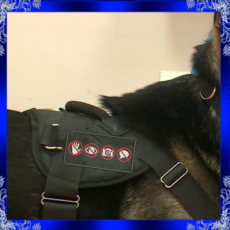 No Speaking Label Embroidery Design No Stare Applique Machine Embroidery Design No Photos Patch Mac 3