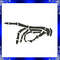 Skeleton Hand Machine Embroidery Design Skeleton Hand Sign Embroidery Design Skeleton Fingers Sign 1