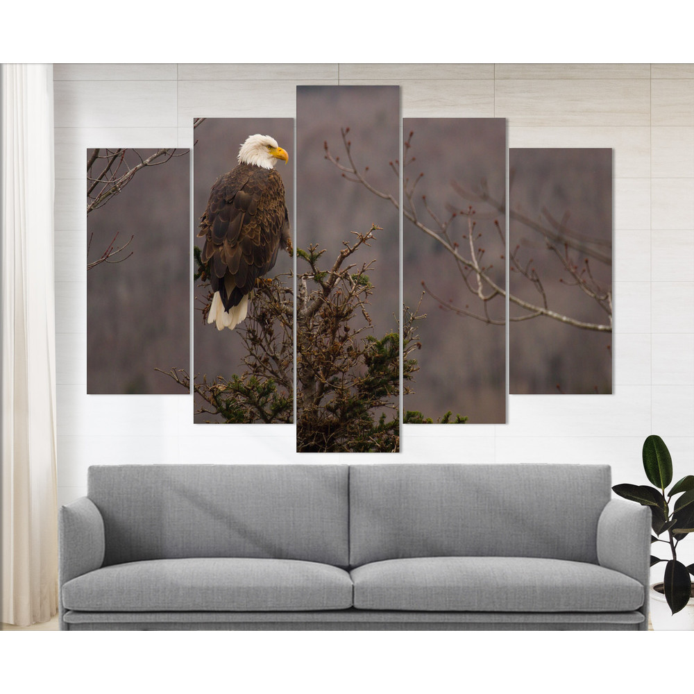 Bald Eagle Photography, Eagle Canvas Print, Wild Nature Wall Art, Hunting Wall Art, Eagle Print.jpg