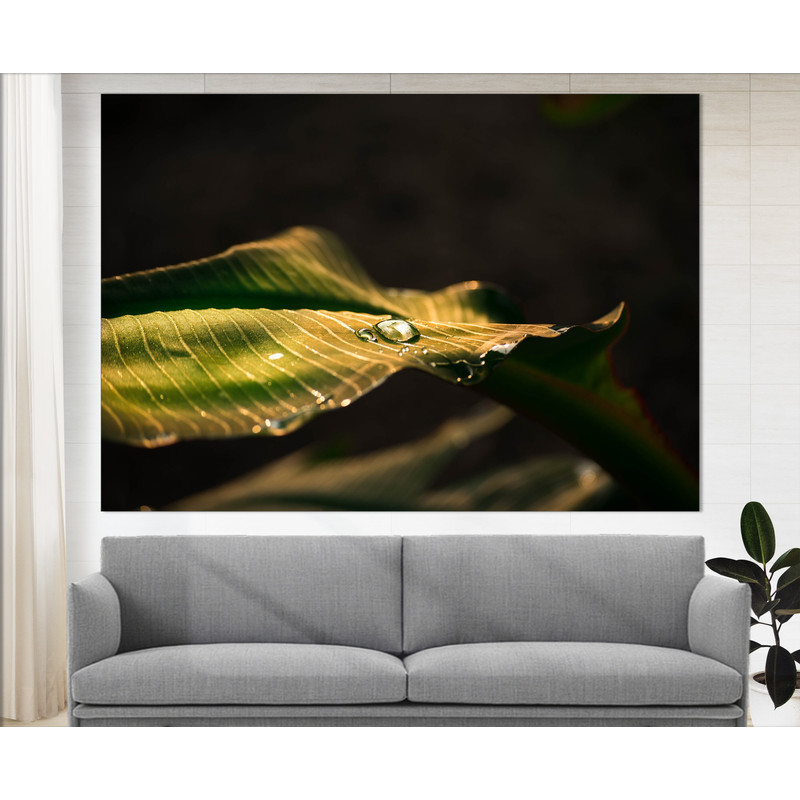 Banana Leaf With a Waterdrop Canvas Print Abstract Art Banana Canvas Art Leaf Canvas Tropical Decor Green Decor Abstract Art Office Decor.jpg