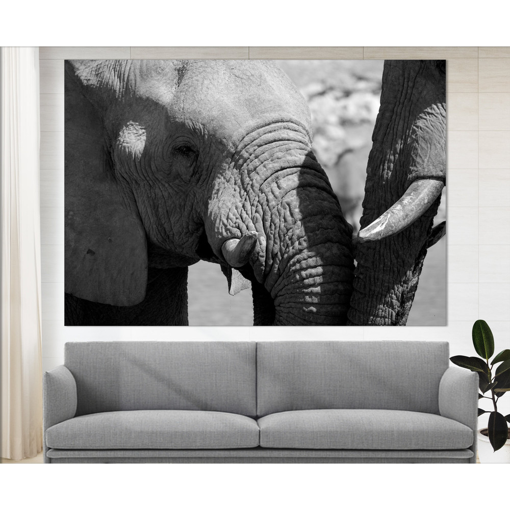 Black and White Elephants Canvas Art, Elephants Print Love Wall Art Housewarming Gift Elephant Photo Love Wall Art, Wild Animals Photo.jpg
