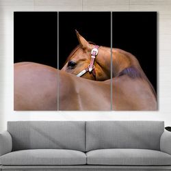 brown horse canvas art, horse wall art horse print scenic horse photo horse poster living room decor
