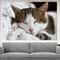 Cute Sleepy Cat Canvas Art, Kitten Print, Cats Wall Art.jpg