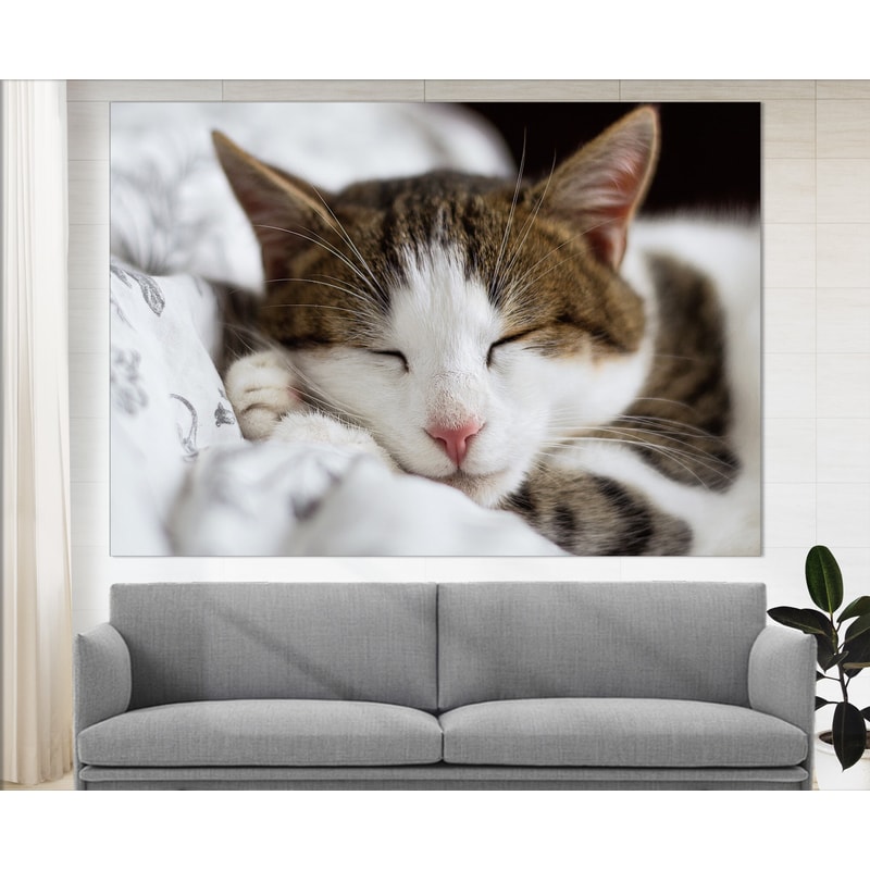Cute Sleepy Cat Canvas Art, Kitten Print, Cats Wall Art.jpg