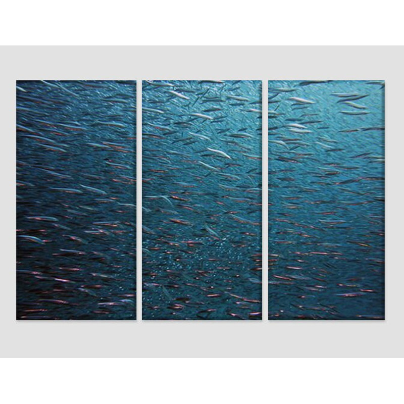 Fish Canvas Art Ocean Underwater Canvas Print Ocean Wall Art Abstracr Ocean Photo Living Room Decor Water Poster Diver Gift Fish Swarm Print.jpg