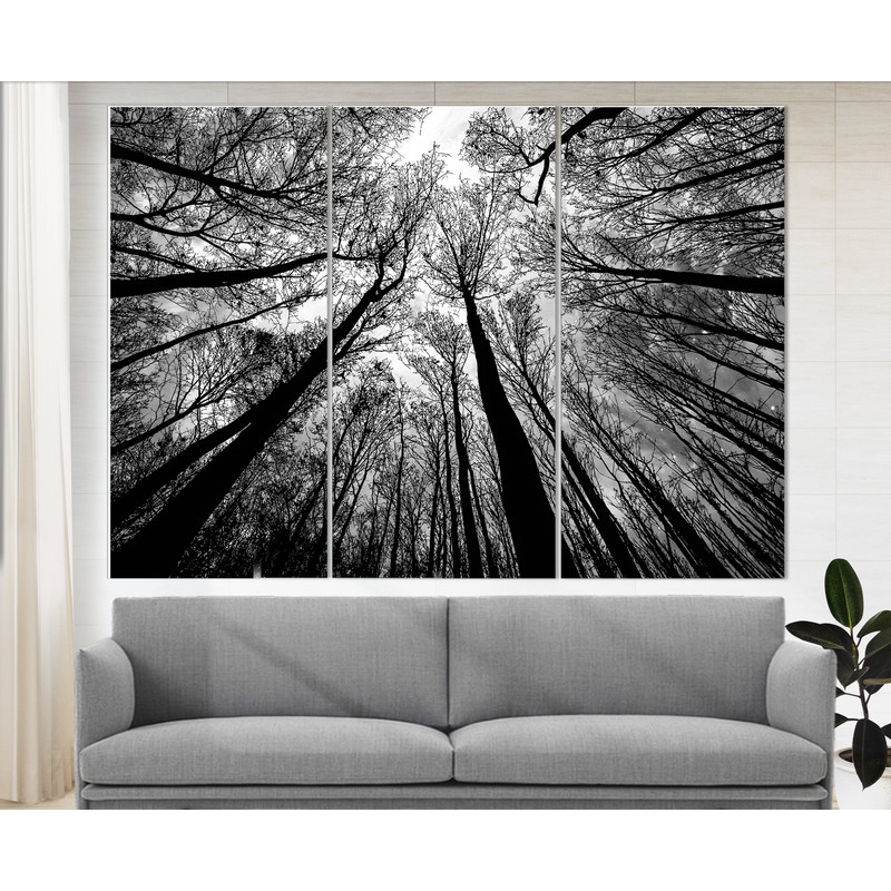 Forest Canvas Print, Trees Canvas Art, Forest Canvas Art, Forest Photo, Nature Wall Art.jpg