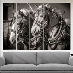 horses canvas art horse wall art horse print home decor horse poster office decor horse photo living