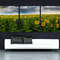 Large Sunflower Field Canvas Print, Nature Wall Art.jpg