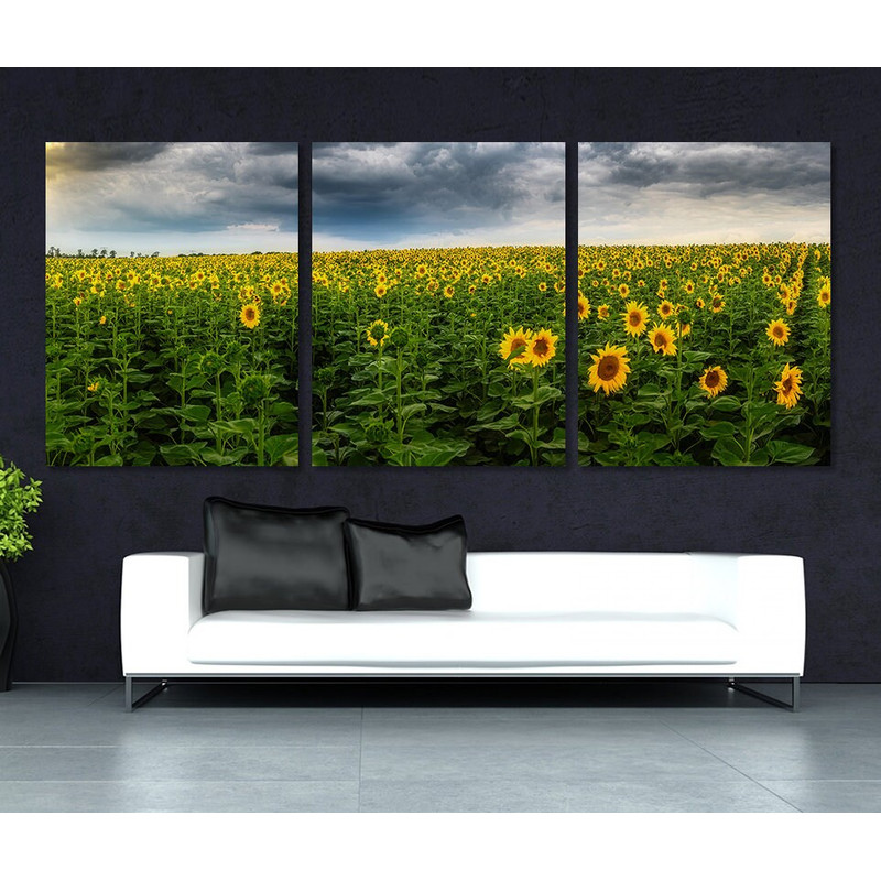 Large Sunflower Field Canvas Print, Nature Wall Art.jpg