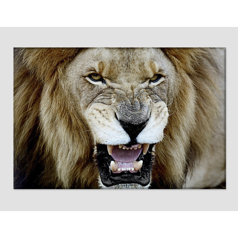 Lion Portrait Canvas Print, Boss Gift Lions Wall Art Animals Canvas Office Wall Decor Housewarming Gift, Lion Photo, Lion Print.jpg