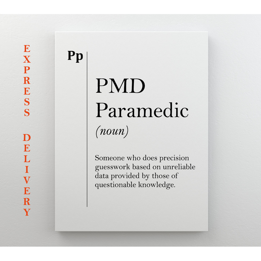 Paramedic Definition Canvas Print, PMD Gift, Paramedic Office Decor, Medical Gifts, Hospital Wall Decor.jpg