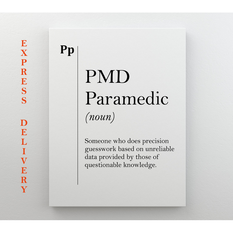 Paramedic Definition Canvas Print, PMD Gift, Paramedic Office Decor, Medical Gifts, Hospital Wall Decor.jpg