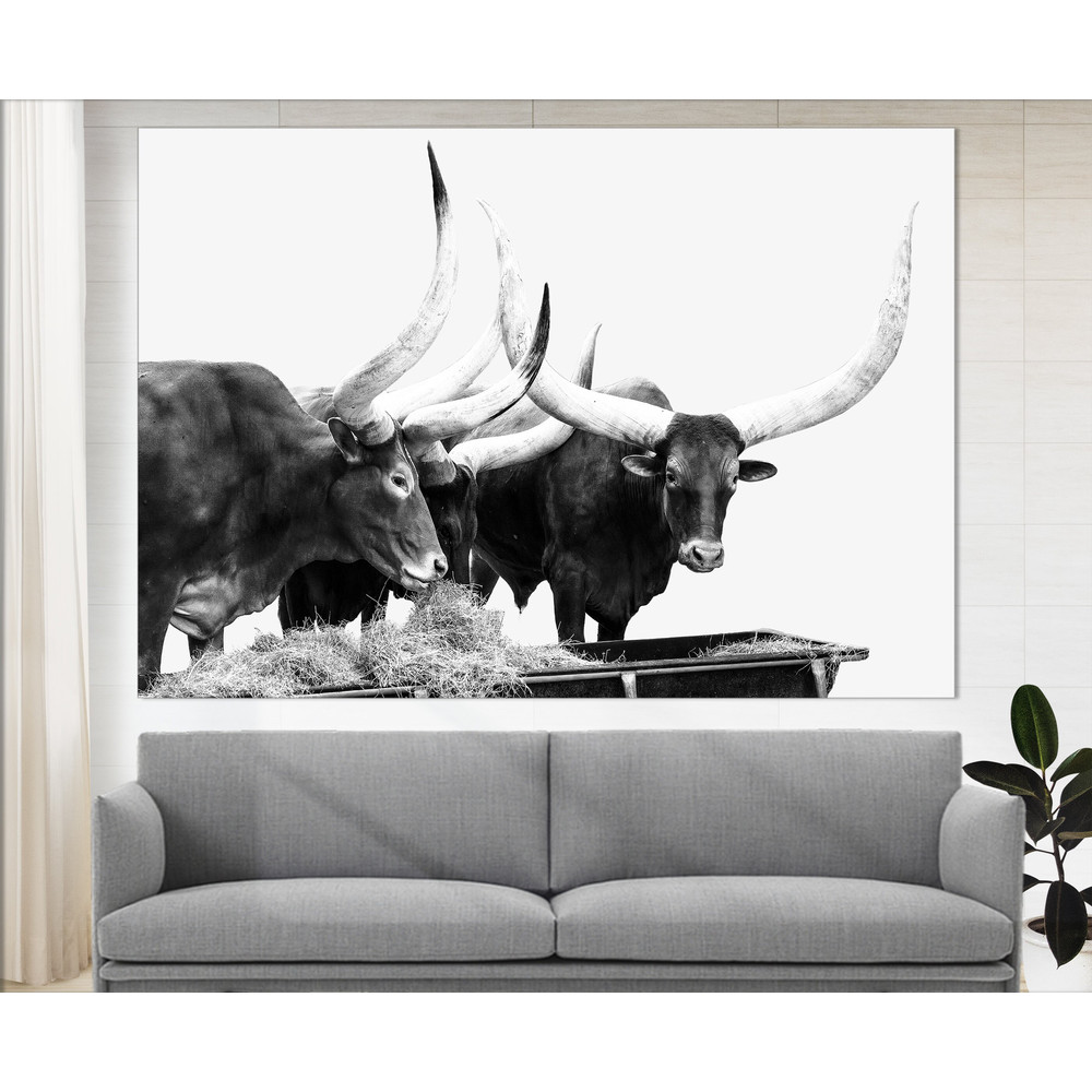 Texas Longhorn Canvas Print, Texas Cattle Canvas Art, Longhorn Cow Wall Art.jpg