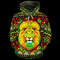 Neon Lion Africa Hoodie, African Hoodie For Men Women