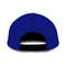 Delta Tau Sigma Classic Cap - Africa Caps For Men Women