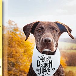 dog bandana mockup vol-1