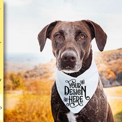 dog bandana mockup vol-3
