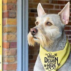 dog bandana mockup vol-5